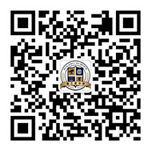 大鸡巴插我视频